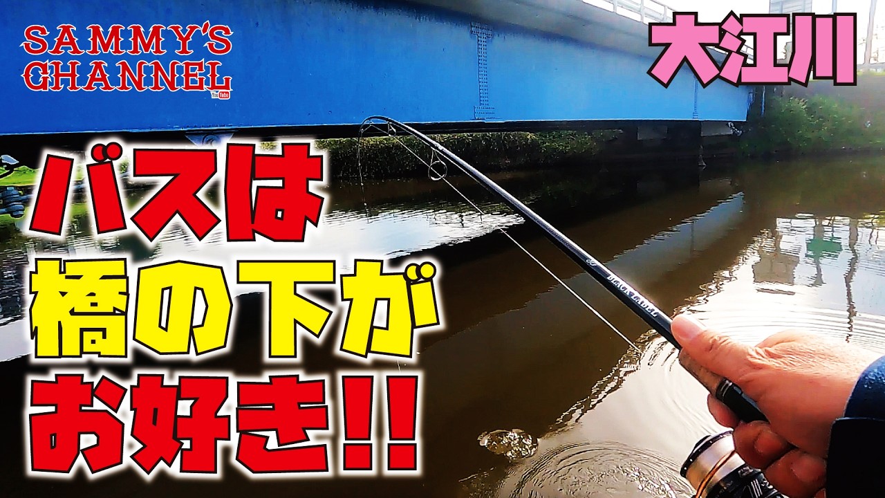 バスは橋の下がお好き!! 【大江川】