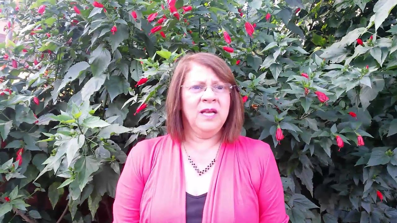 psicologia criminal universidades colombia Gloria Rios de Alzate Minsterio Hospitalario El Buen Samaritano nanas voluntariado