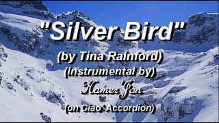 Silver Bird-(Tina Rainford) (Instrumental cover-HamerJon)