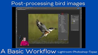 Basic Post-processing Workflow for Bird Images - Lightroom Classic, Photoshop,  Topaz DeNoise screenshot 5