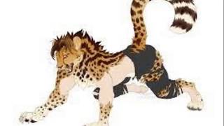 TF Random #16