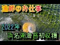 [漁師のお仕事]丹精込めて育てた青海苔を初収穫