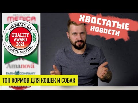 ТОП кормов для кошек и собак по-итальянски на 2021 год | Quality Award
