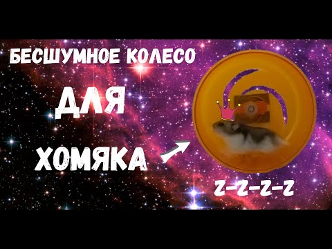 КОЛЕСО ДЛЯ ХОМЯКА СВОИМИ РУКАМИ. hamster wheel DIY