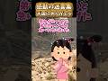 【2ch 感動】天国にありがとう#2ch