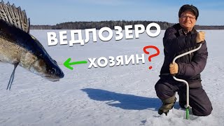 Судак величайший! Ведлозеро весной – крайняя рыбалка в Карелии и закрытие сезона 2022