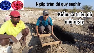 Đi đãi saphir ở vùng đất nằm trên mỏ đá quý| Kiếm triệu đô mỗi ngày, cơ hội cho người Việt 🇲🇬