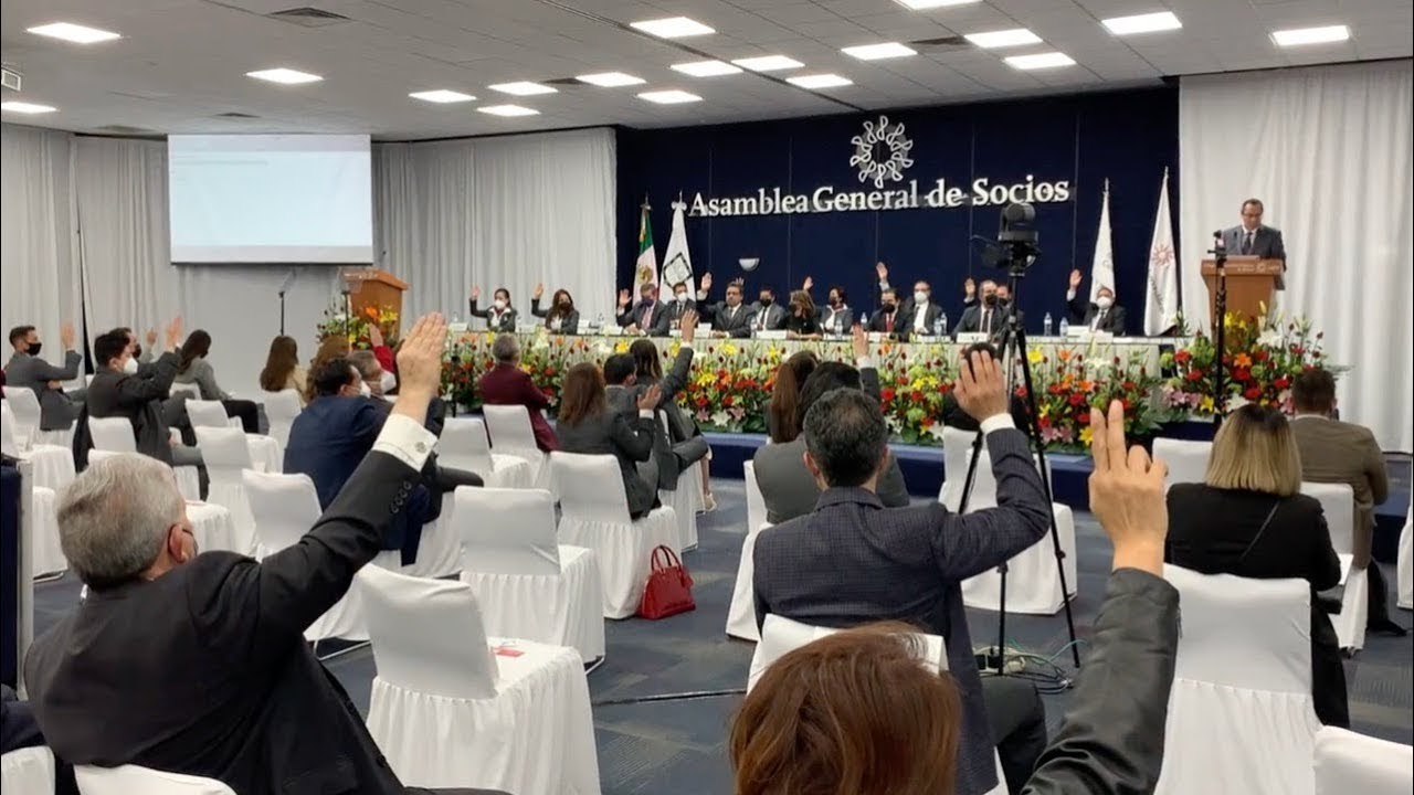 Asamblea De Socios Sociedad De Responsabilidad Limitada