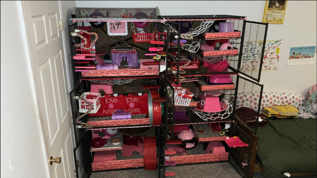 LOVE RAT（RED Ver.） Satin Rat Love Leash or Key Holder Red - Walmart.com