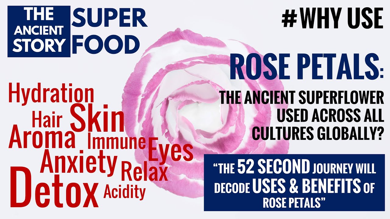 The Ancient Flower Benefits of Rose Petals Uses of Rose Petals