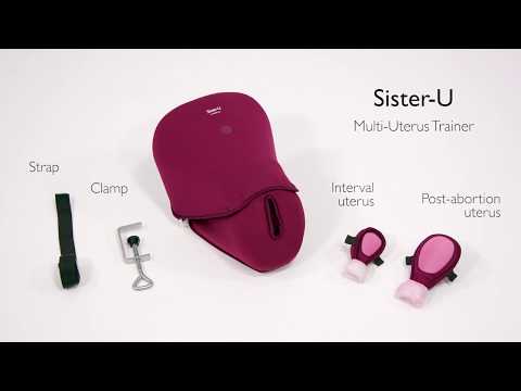 Sister U Multi Uterus Trainer 