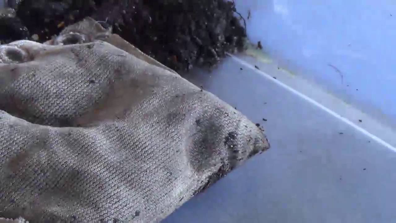 Gulf Power CleanBoost Absorbents, Degreaser, Pillow Demos