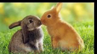 Air Supply - Making Love Out Of Nothing At All (Lyrics)