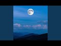 The Moon S A Witness 