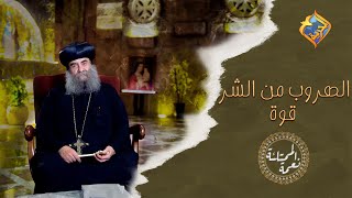 الهروب من الشر قوة 👌🏼 ‼️ نيافة الأنبا يؤانس #قناة_الحرية screenshot 5