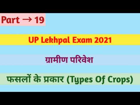 वीडियो: सरकोस्पोरा लीफ स्पॉट के साथ एक तरबूज का इलाज - तरबूज के पत्तों पर सर्कोस्पोरा को पहचानना