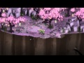 SKULLS OF THE SHOGUN: AN EPIC BATTLE OF UNDEAD SAMURAI