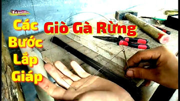 Bẫy Giò Gà Rừng | Hướng Dẫn Đơn Giản Cách Làm Giò Bẫy Gà Rừng ( phần2 )