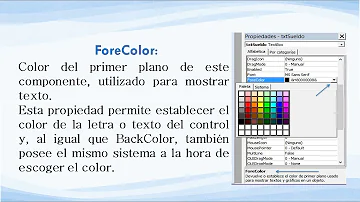 ¿Cuáles son las propiedades de un objeto en Visual Basic?