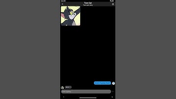 AI Messenger Chat with Tom