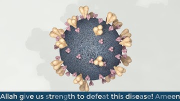 AutoCAD | Covid-19 (Corona Virus) 3D Model - Qasim Danish