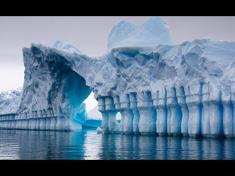 Видео: 15 фактов о дикой природе Антарктиды, о которых вы понятия не имели