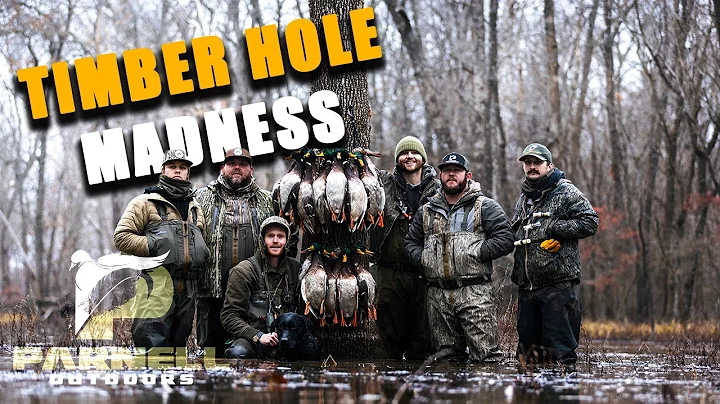 INSANE Kansas Flooded Timber Duck Hunt!! (IN THE TREES)