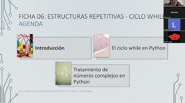 2024_AED_T06 Estructuras Repetitivas - Ciclo while