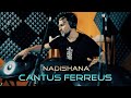 Nadishana cantus ferreus