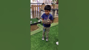 Kids Playing with snake and pet animals #dubai #kids #animals #python