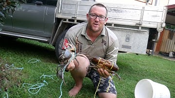 HOW TO TIE MUD CRABS. 2 ways