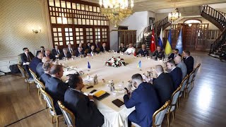 Céréales ukrainiennes : l'ONU optimiste vis-à-vis des négociations russo-ukrainiennes