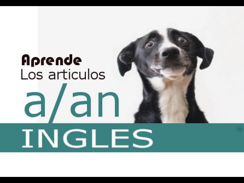 Inglés Xavier - Los artículos a, an camera iphone 8 plus apk