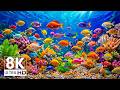 Aquarium 8K VIDEO (ULTRA HD)-Relaxing Music with Colorful Coral Reefs,Fish,and Stunning Ocean Scenes