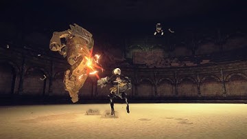 NieR Automata: 2B Combo - Non-Redundant Array