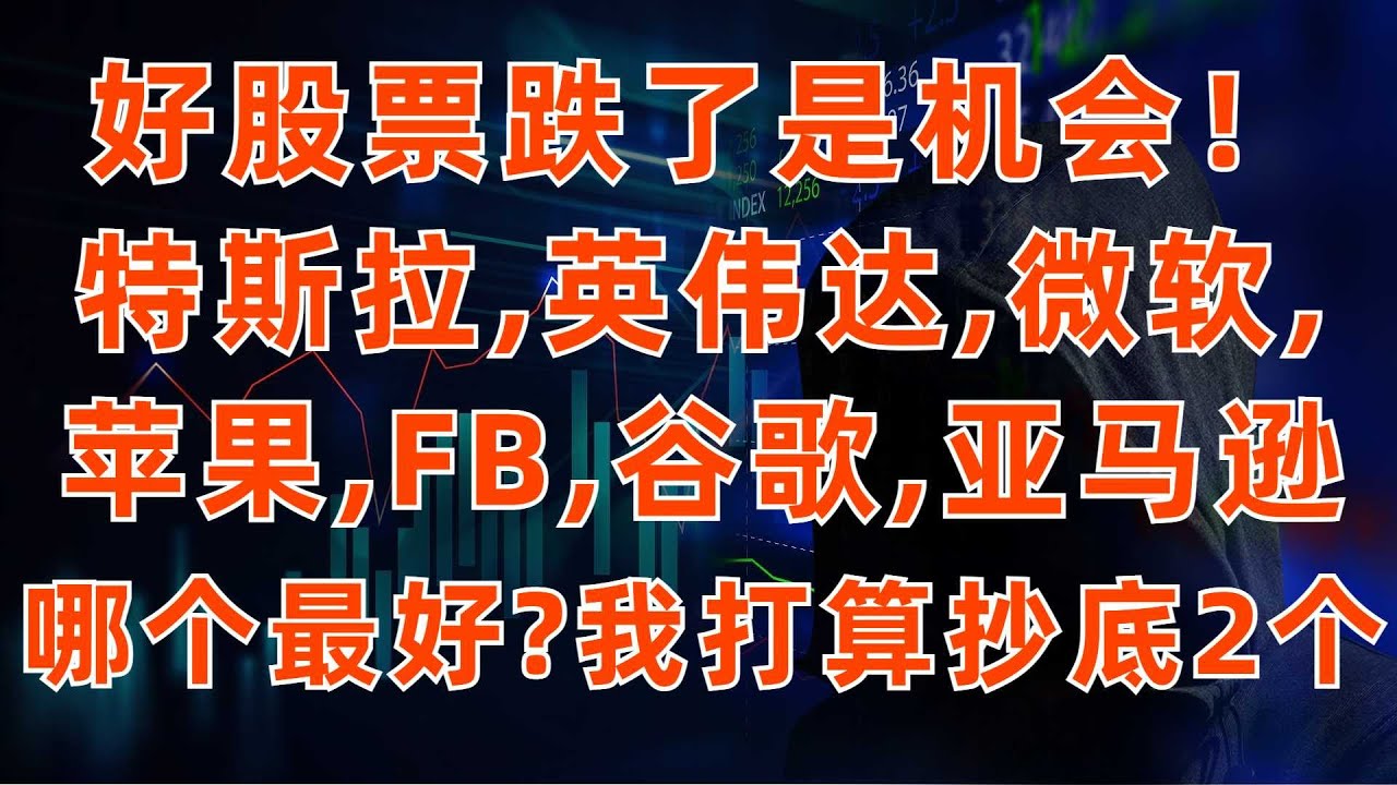 好股票跌了是機會! 從最新財報看哪個股票最好:特斯拉,英偉達,微軟,蘋果,谷歌,FB; 我打算抄底2個股票!