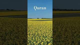 Al quran Kareem urdo translation #duet #quotes #account #alquran #aslam #foryoupageph#ytshorts #urdu