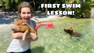TEACHING MY BABY PIG HOW TO SWIM! WILL HE KNOW HOW ?!