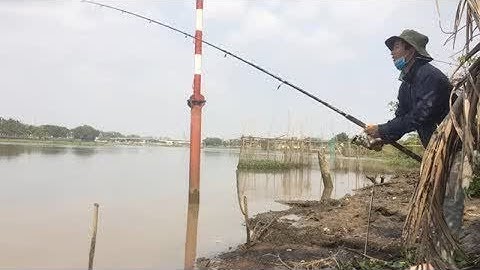 câu cá sông sài gòn ,mùa câu cá trê sông .  #LOWI