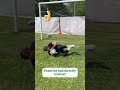 طريقة مسك الكرة الارضية لحراس المرمي فديو مهم جدا للحراس 3skoora 
