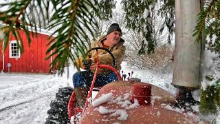 A Snowstorm on the Farm