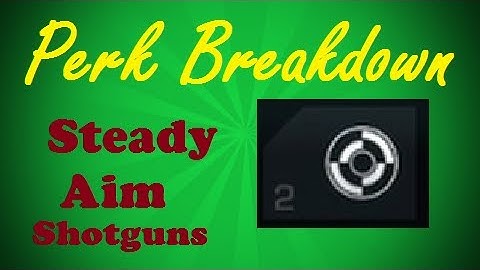 Perk Breakdown - Shotgun Steady Aim