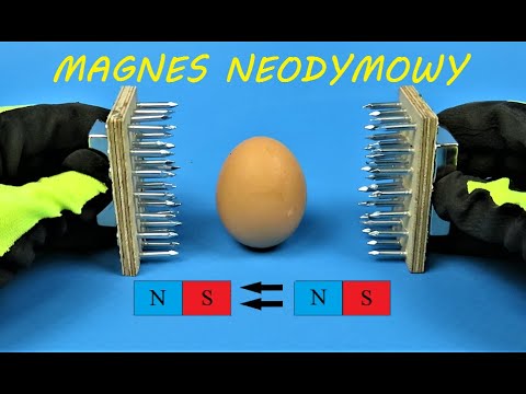 Magnesowe Szczęki vs Jajko I EKSPERYMENT