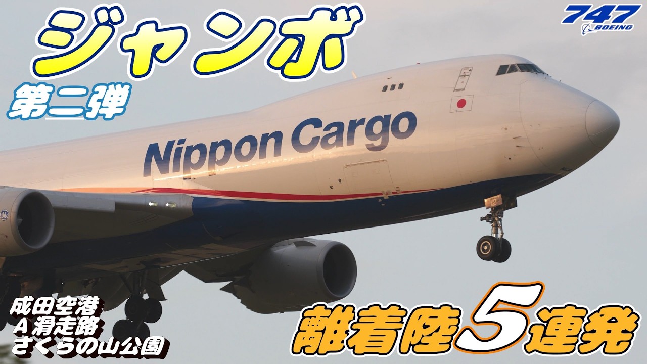 さくらページ 4K】成田空港 さくらの山公園 Aランに離着陸するボーイング747（Jumbo