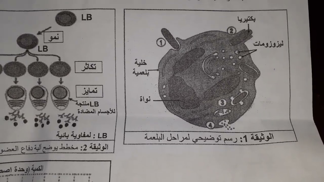 التصحيح النمودجي الوزاري لمادة العلوم الطبيعية لشهادة التعليم المتوسط 2023