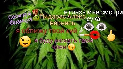 CS 1.6 Valve Hammer Editor TVG Final ver 73