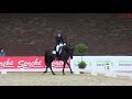 Fürsten-Look and Isabel Freese winner of dressage class S* Herbergen