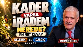 Kader Ve Hür İradeyi Anlamak İçin Bu Örneği Mutlaka Dinleyin - Prof. Dr. Mehmet Cesur