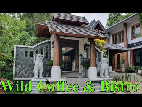 Lunch at Wild Coffee & Bistro, Chiang Mai 4K