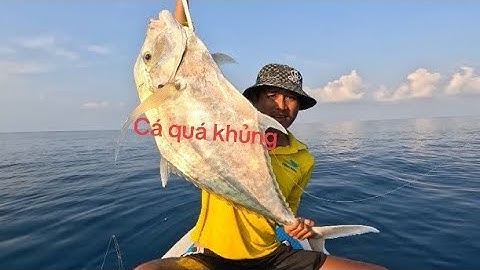 Một Ngày Đi Súp Và Cano Phao Câu jigging ll Dính Toàn Cá Hơn 10kg Kéo cá Run Cả Tay  ll Côn Đảo